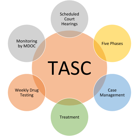 Treatment and Support Court (TASC)